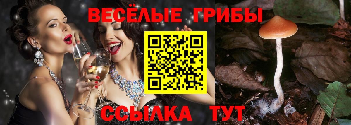 Галлюциногенные грибы Psilocybe  Вход с VPN  Псилоцибиновые грибы прущие грибы  Россошь 